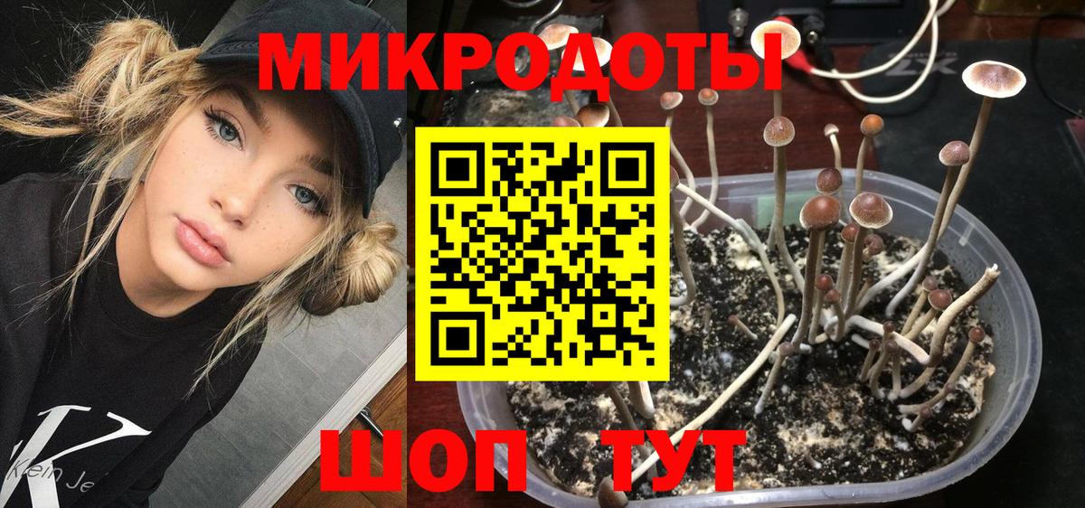 Псилоцибиновые грибы Magic Shrooms Солнечногорск