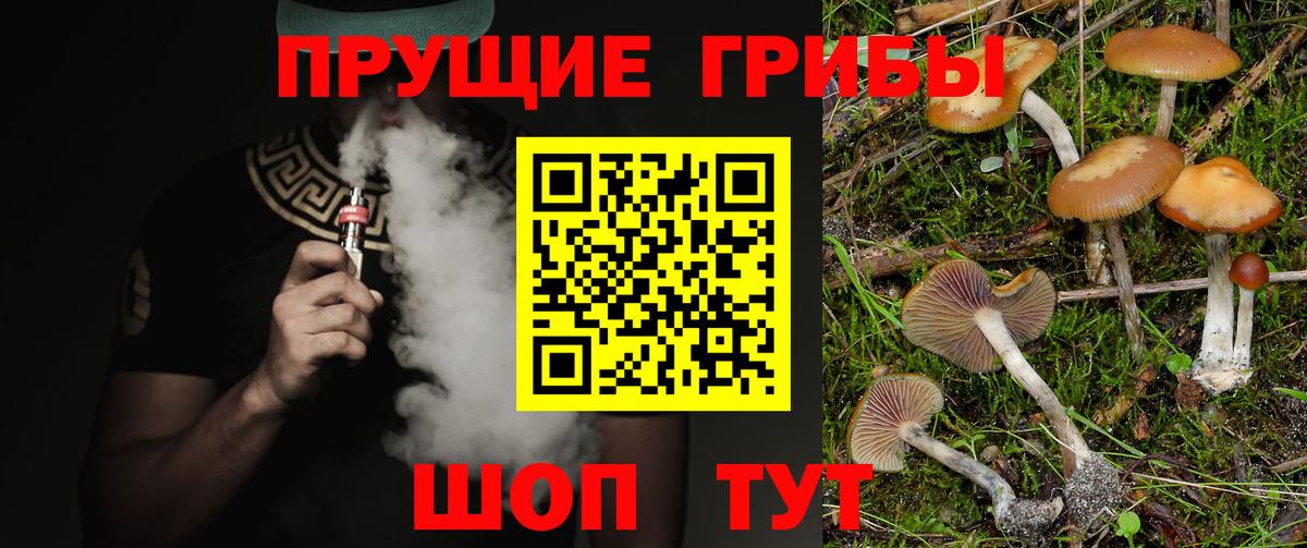 Солнечногорск  Галлюциногенные грибы Psilocybine cubensis  Вход с VPN 