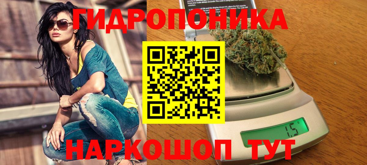 Бошки марихуана Amnesia  Каннабис марихуана  Солнечногорск  Вход с VPN  Шишки марихуана White Widow  Бошки Шишки ГИДРОПОН 